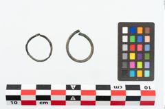 Foto von Bronzering (NHMW-PRAE-025993)